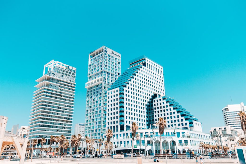 גל חיימוביץ': פתרונות תוכנה מורכבים לארגונים וחברות הייטק